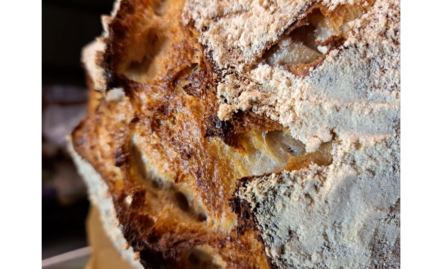 Kovászos kenyér sütésének alapjai I.