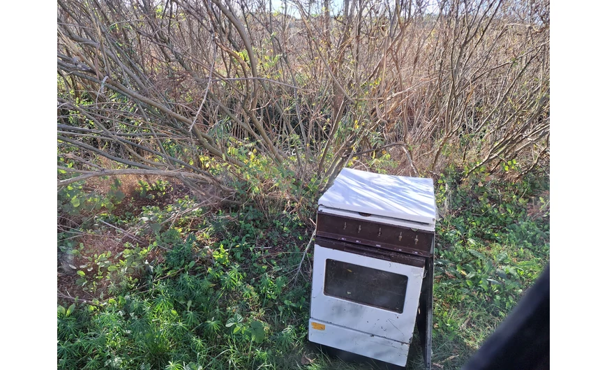 A Környezettudatos Vásárlás: Új Életre Kelnek a Konyhagépek